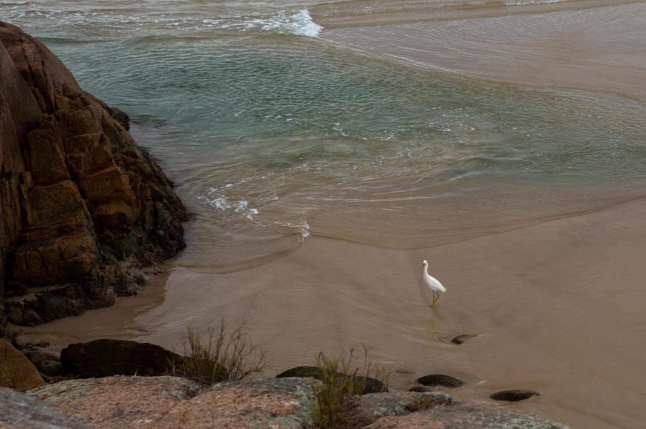 Florianópolis Hostel Dunas Do Santinho المظهر الخارجي الصورة